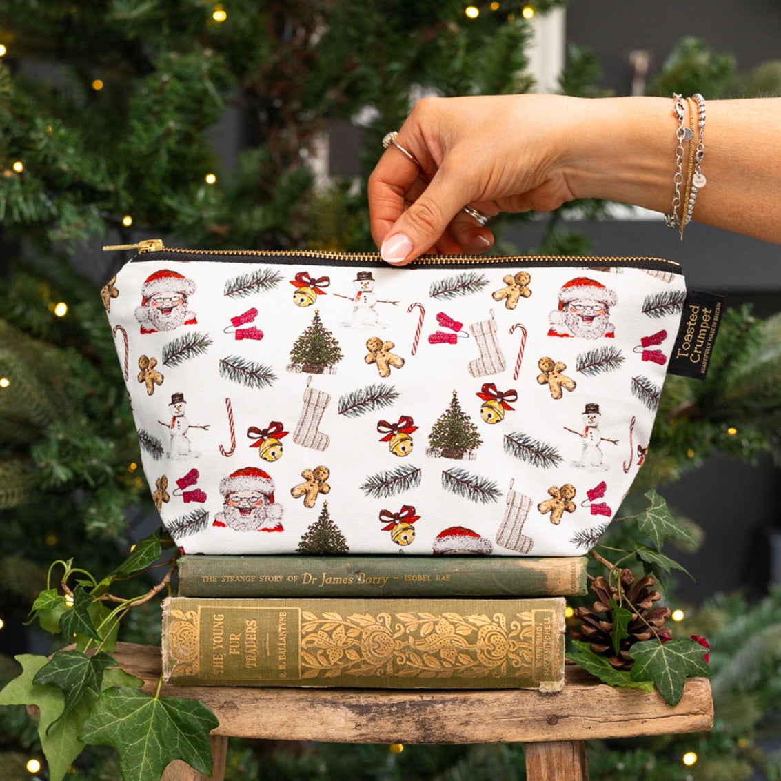 All Things Jolly (Pure) Wash Bag