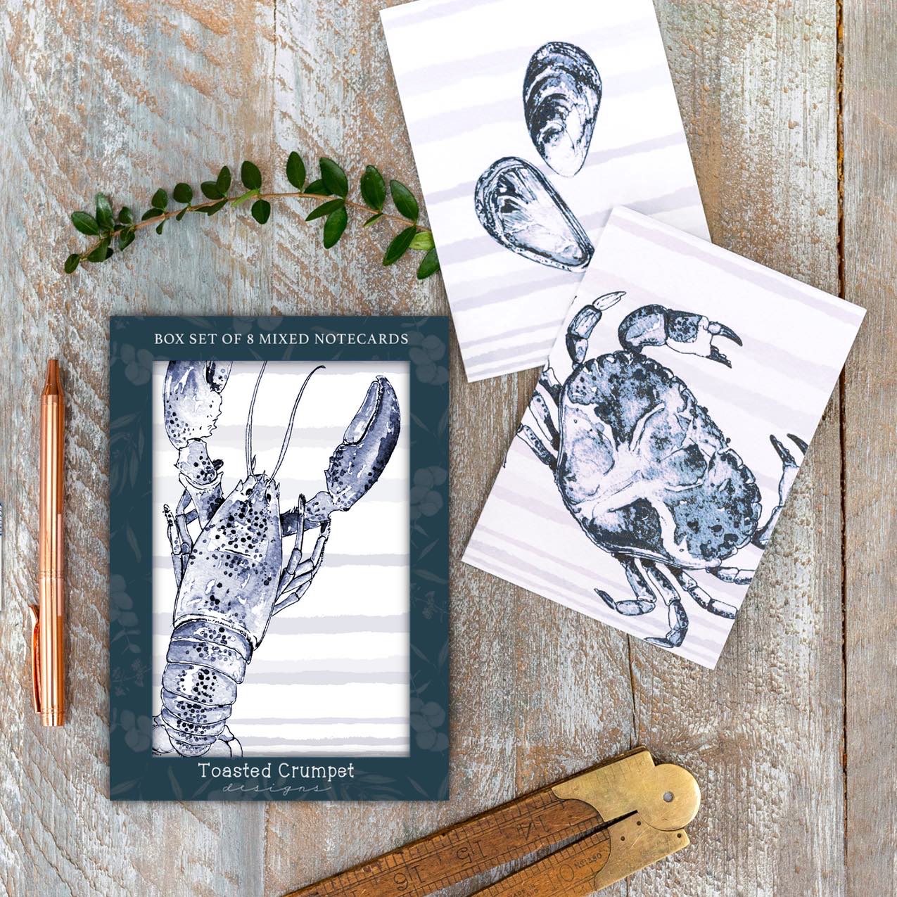 "Inky Shells" Boxed Set of 8 Mixed Notecards