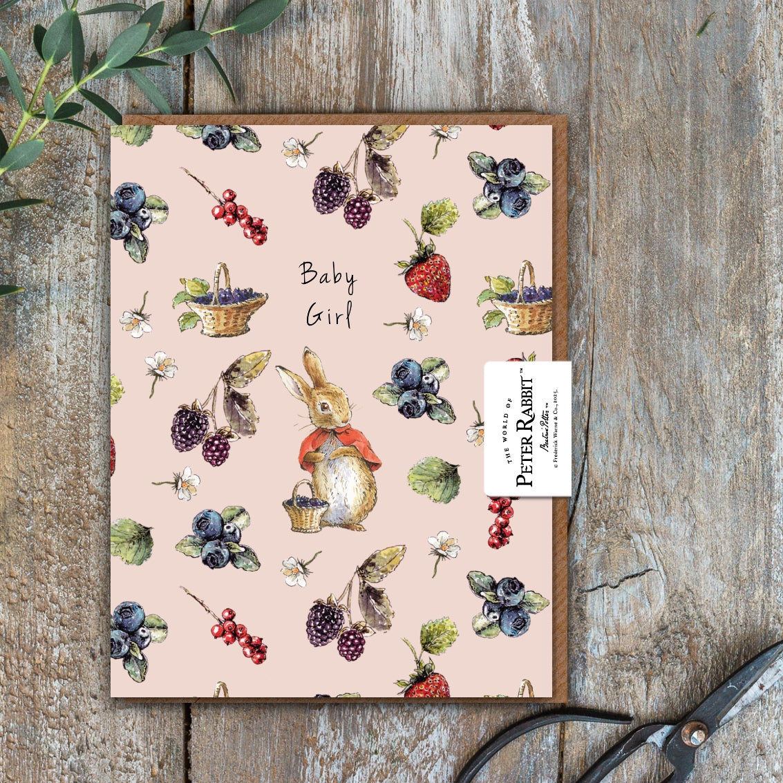 Baby Girl (Flopsy) Card (Cello-Free)