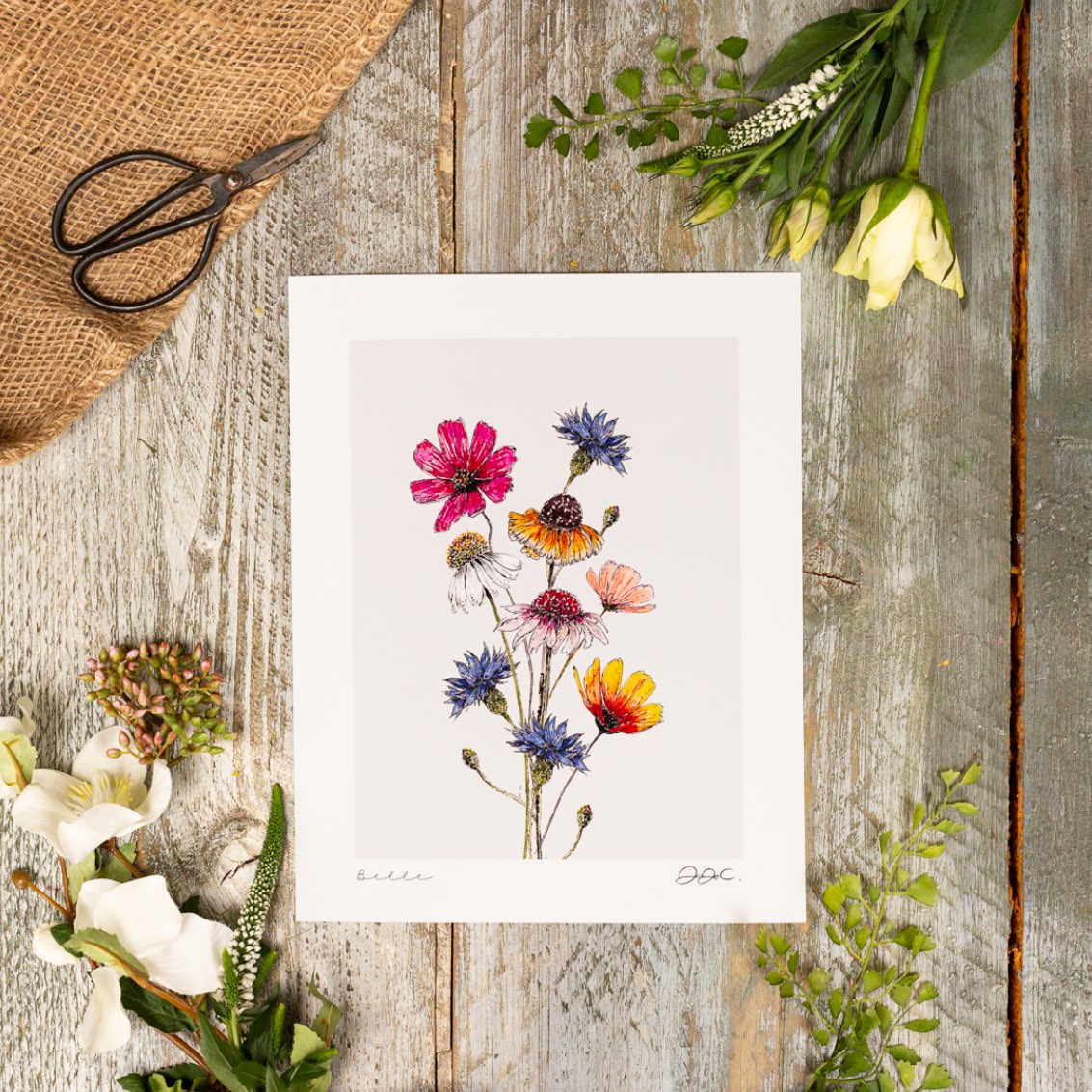 Belle 10x12" Fine Art Print