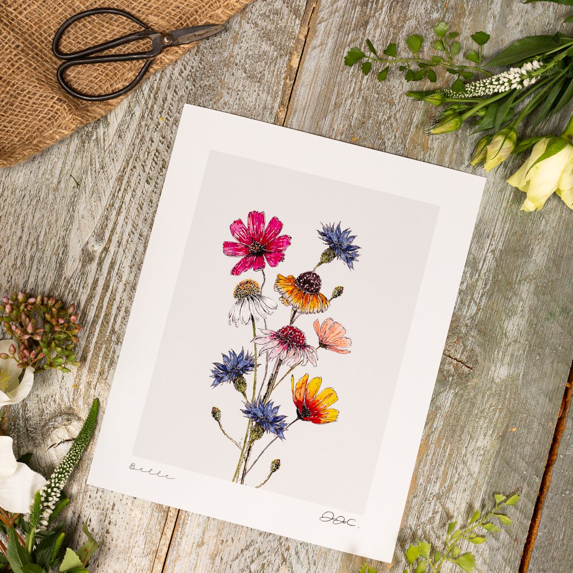 Belle 10x12" Fine Art Print