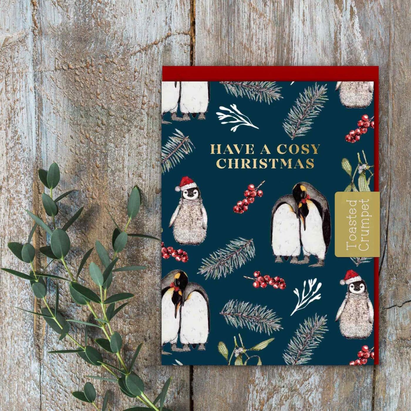 Have a Cosy Christmas (Christmas Penguins) Set of 6 Christmas Cards