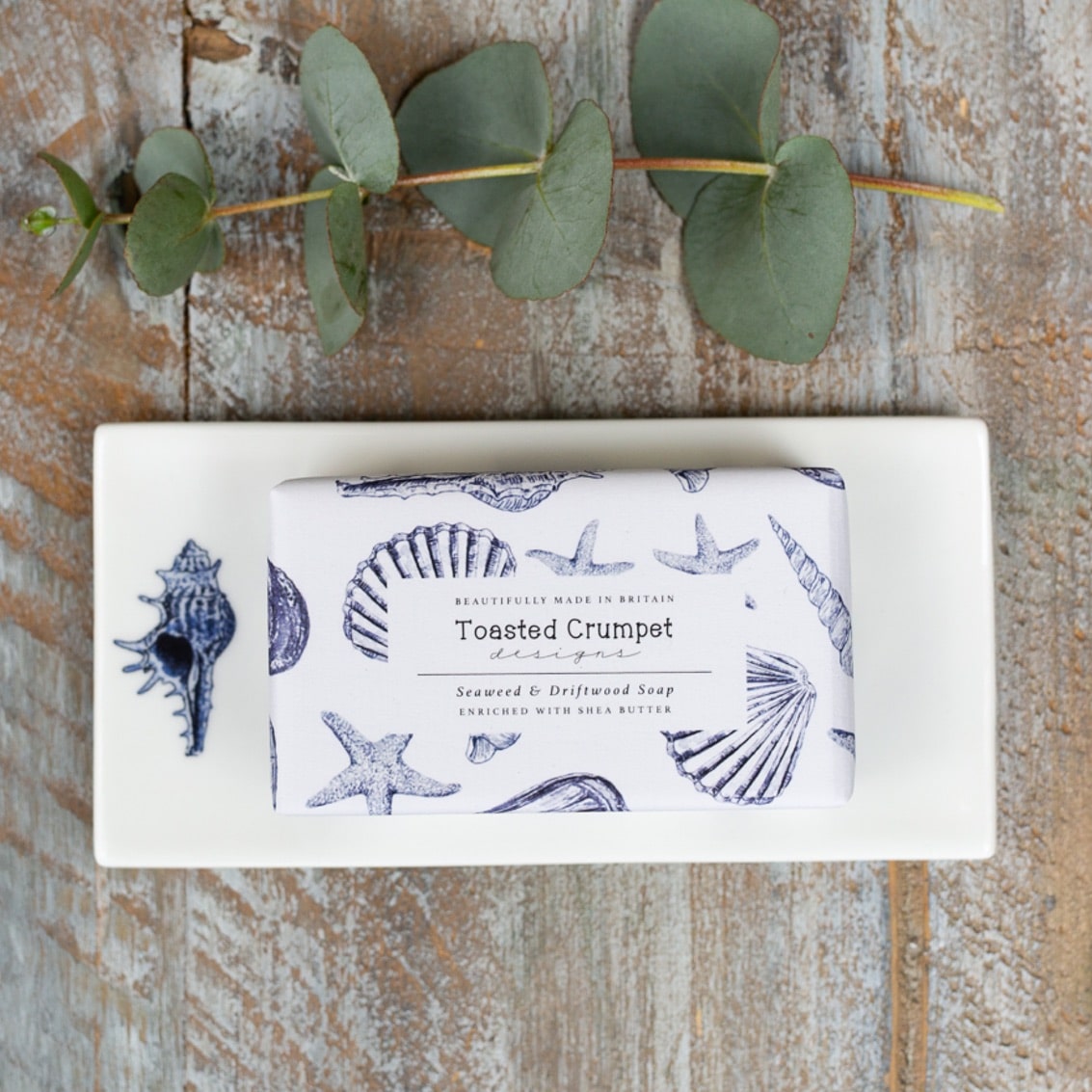 Conch Shell Rectangular Soap Dish