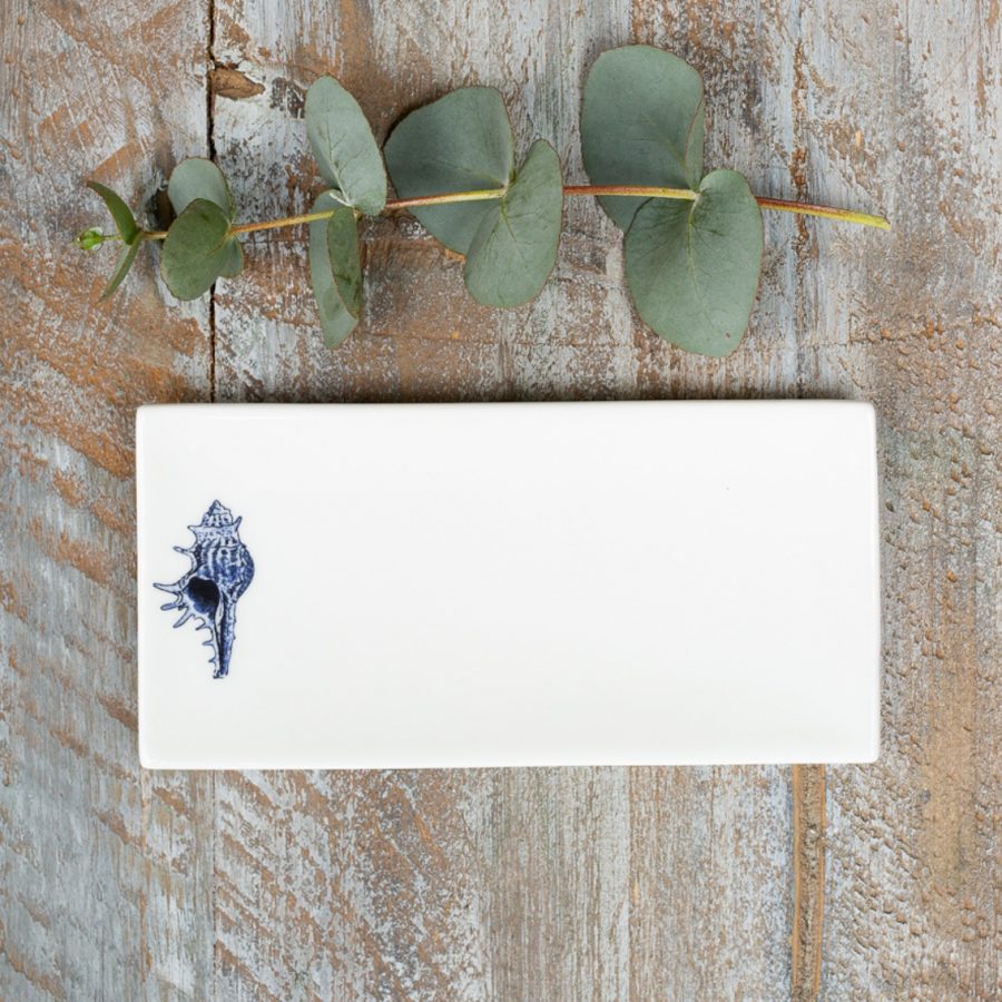 Conch Shell Rectangular Soap Dish