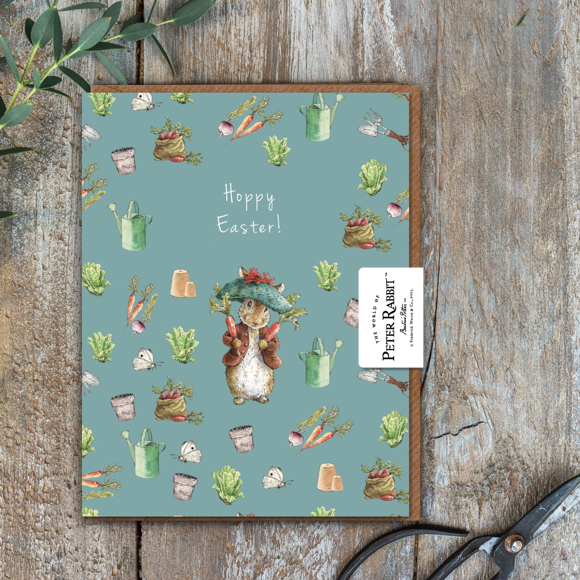 Hoppy Easter (Benjamin Bunny) Card (Cello-Free)