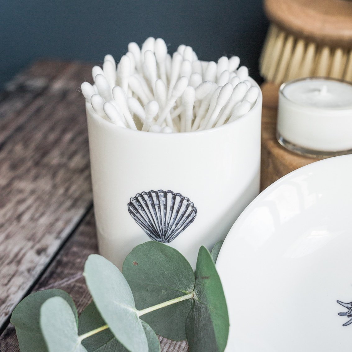 Scallop Shell China Pot in a Gift Box