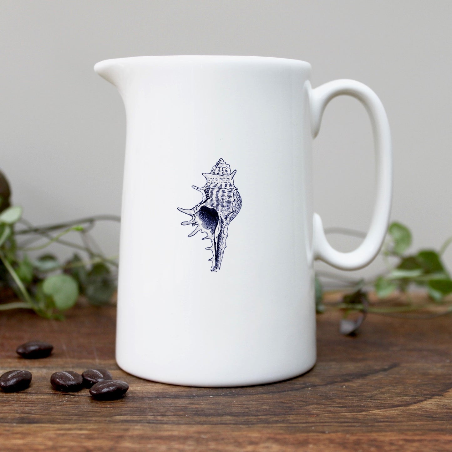 Conch Shell Half Pint Jug in Gift Box