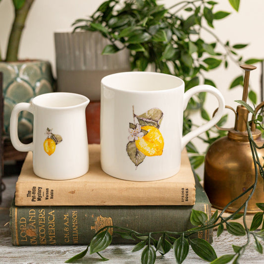 NEW! Lemon Mini Jug in a Gift Box