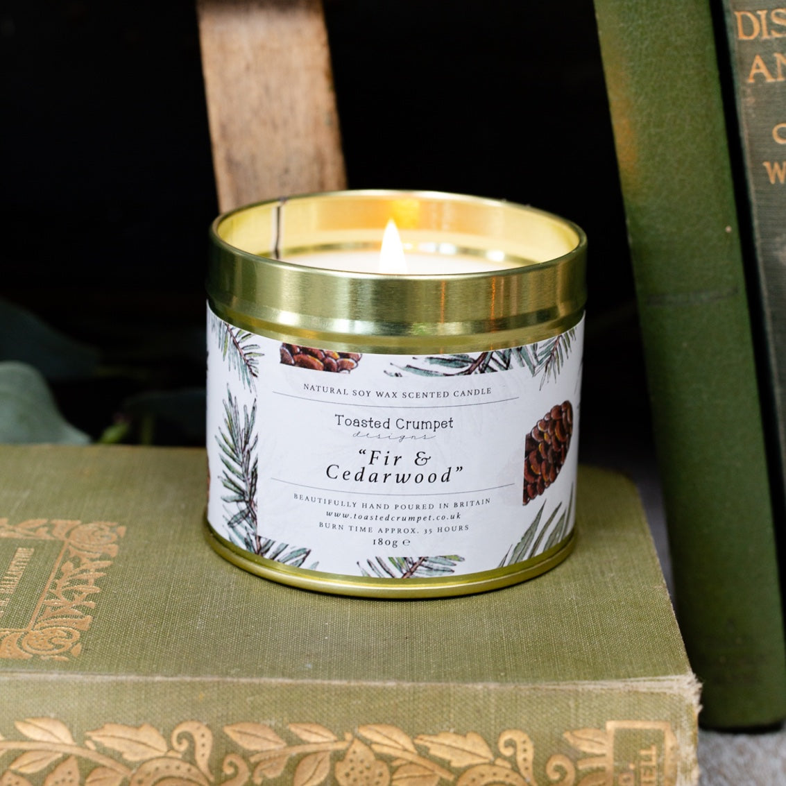 Fir & Cedarwood Candle in a Matt Gold Tin
