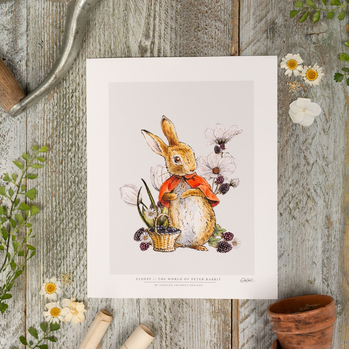 Flopsy 10x12" Mounted Fine Art Print
