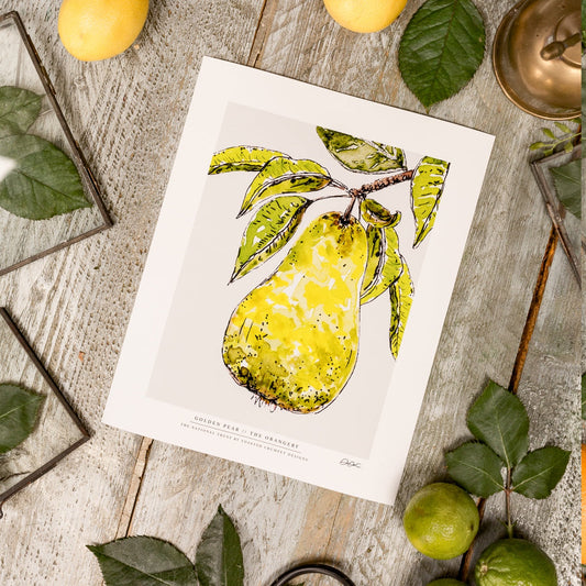 NEW! Golden Pear 10 x 12" Fine Art Print