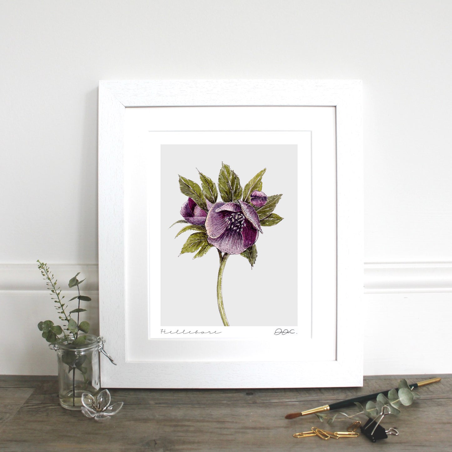 Hellebore 10x12" Mounted Fine Art Print