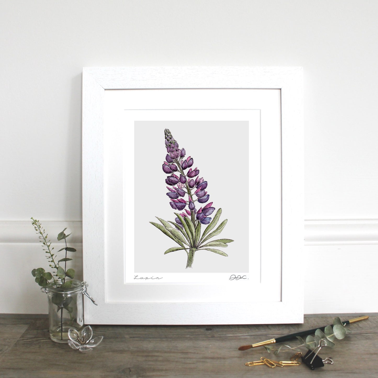 Lupin 10x12" Mounted Fine Art Print