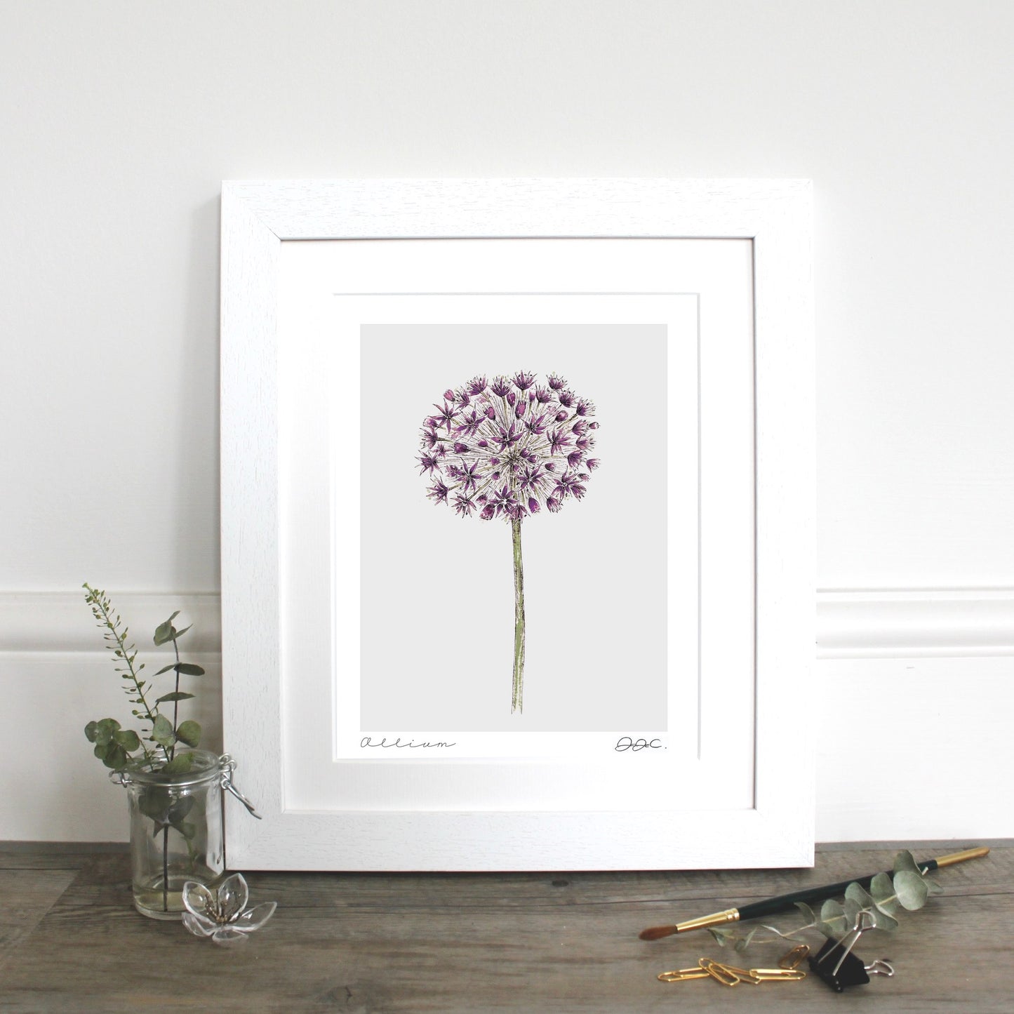 Allium 10x12" Mounted Fine Art Print