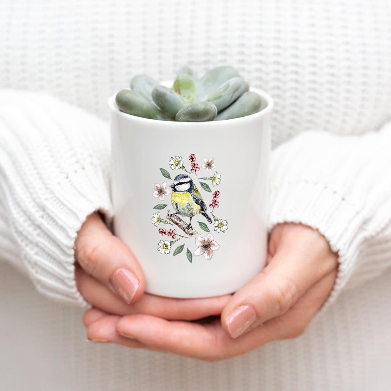 Garden Birds Fine Bone China Pot in a Gift Box