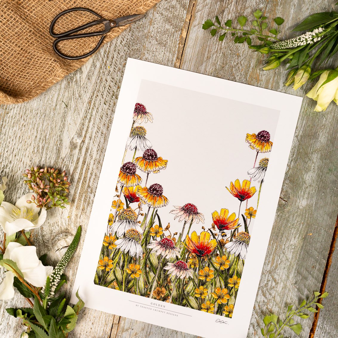 Golden 12x16" Fine Art Print
