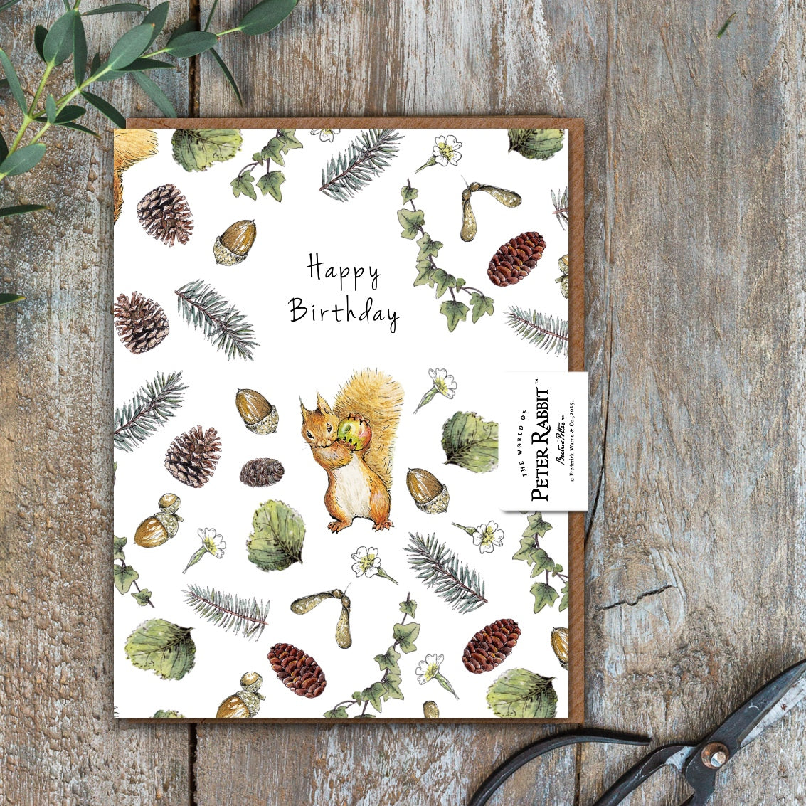 Happy Birthday (Squirrel Nutkin) Card (Cello-Free)