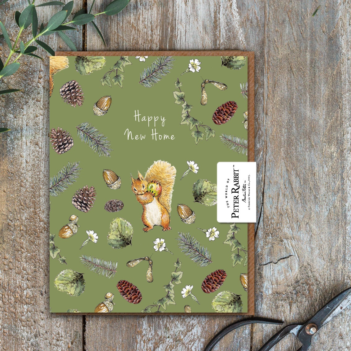 New Home (Squirrel Nutkin) Card (Cello-Free)