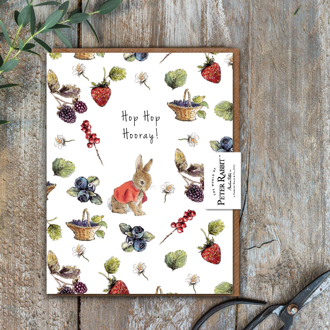 Hop Hop Hooray! (Flopsy) Card (Cello-Free)