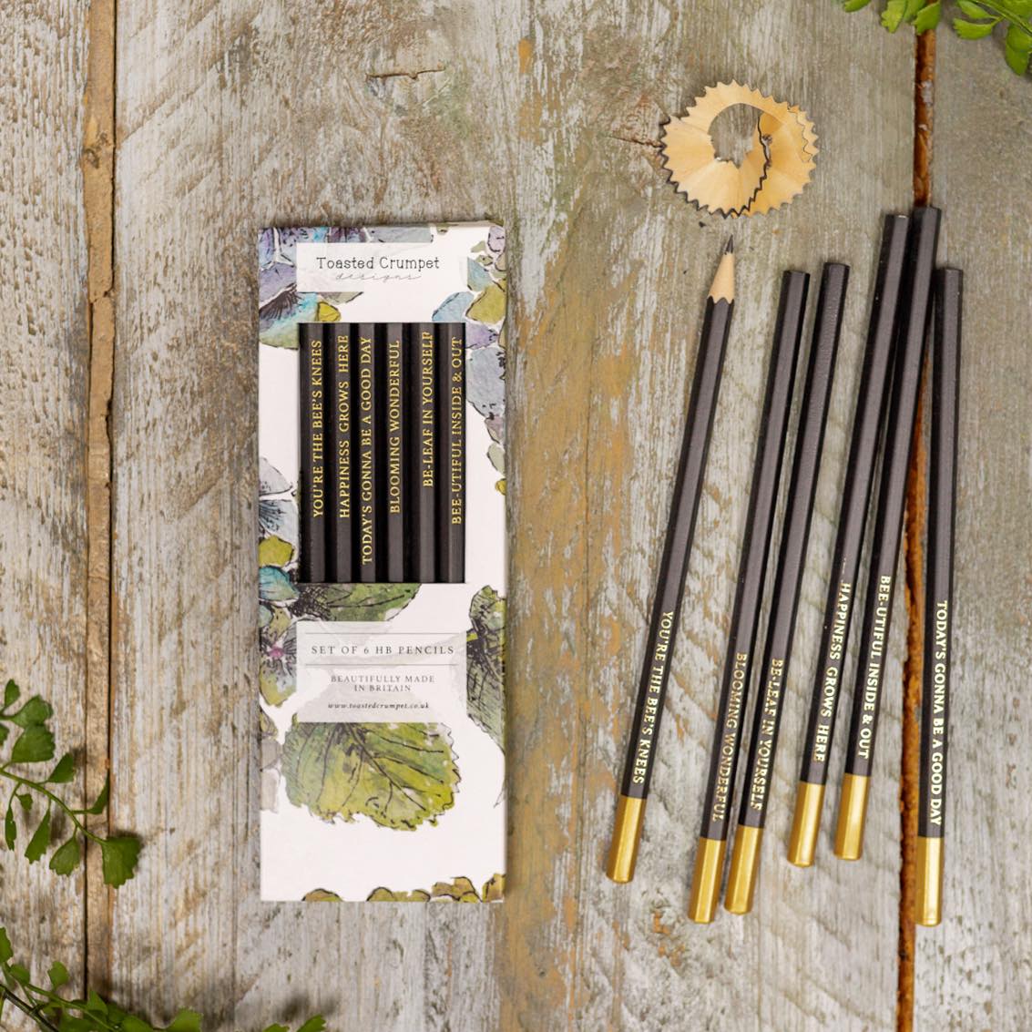 Hydrangea (Pure) Set of 6 Pencils
