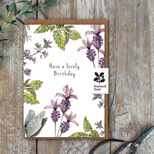 Have a Lovely Birthday (Garden Herbs Pure) Card (Cello-Free)