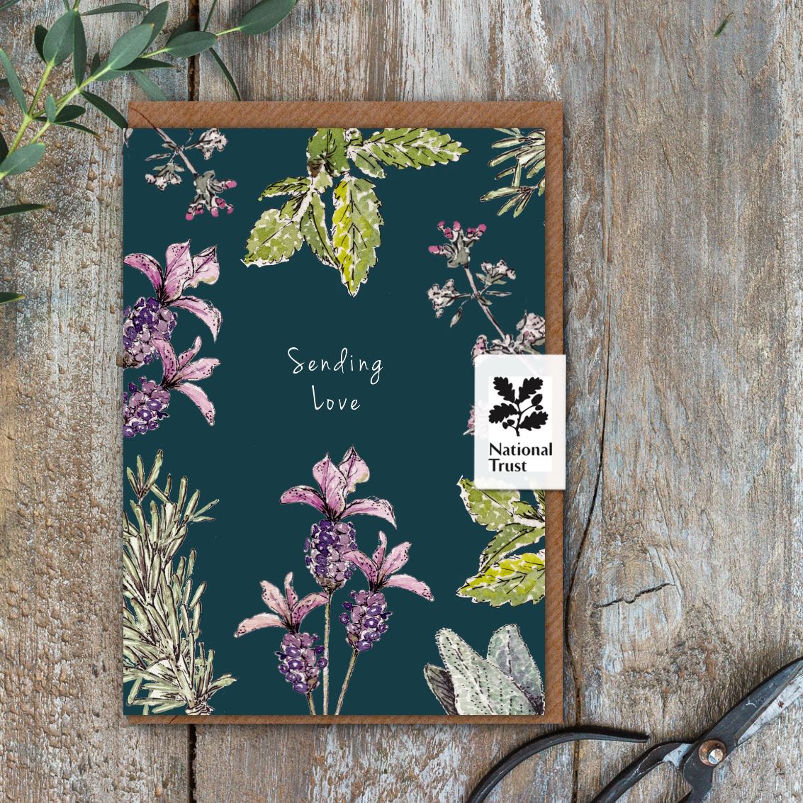 Sending Love (Garden Herbs Noir) Card (Cello-Free)