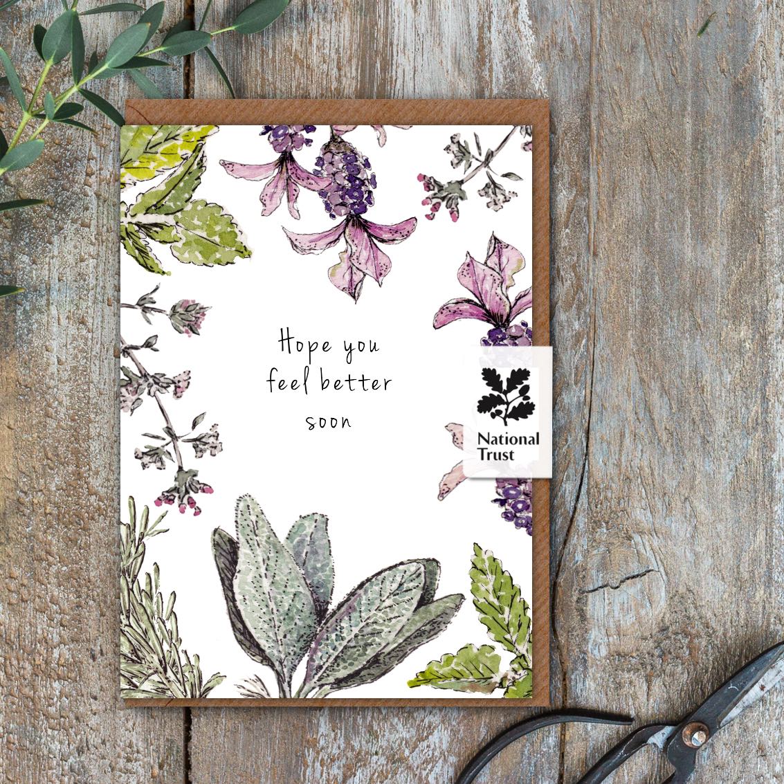 Hope You Feel Better Soon (Garden Herbs Pure) Card (Cello-Free)