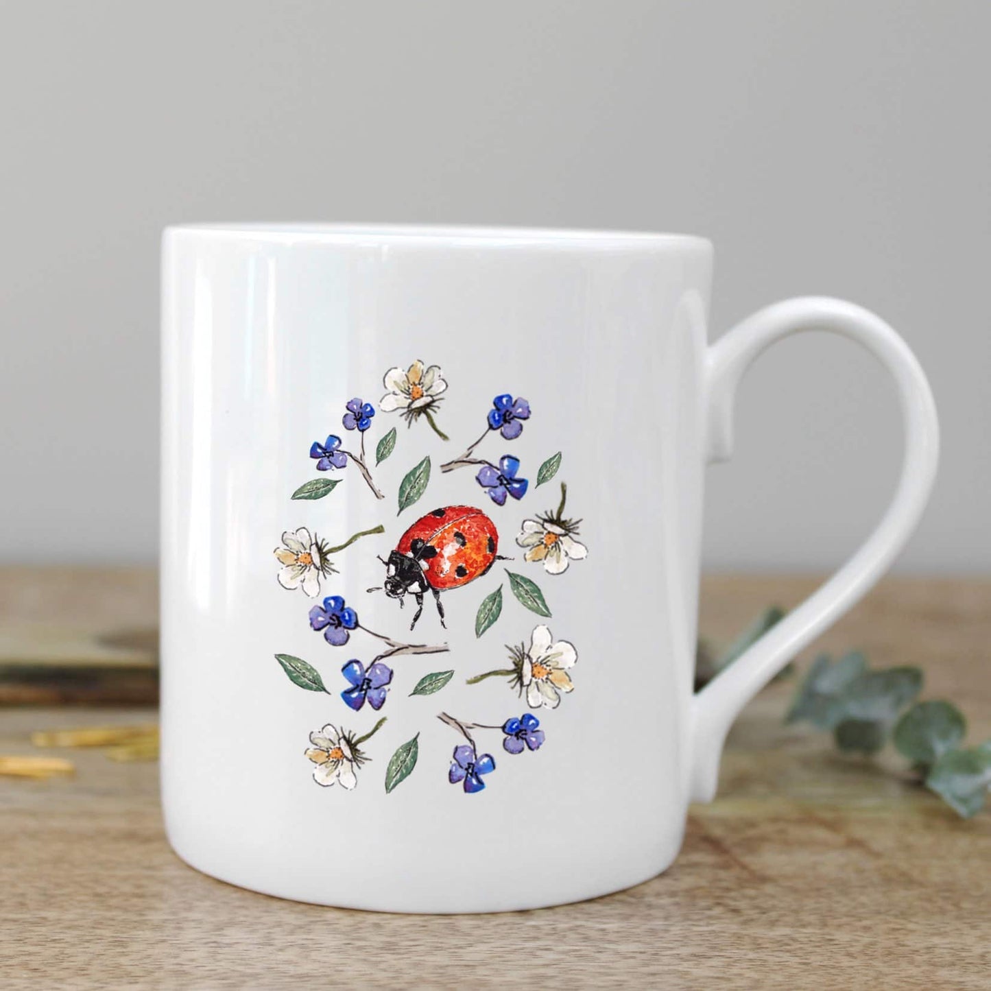Ladybird Mug in a Gift Box