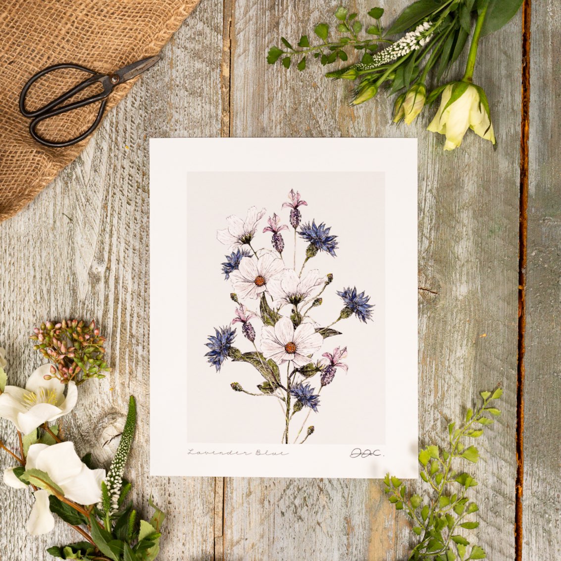 Lavender Blue 10x12" Fine Art Print