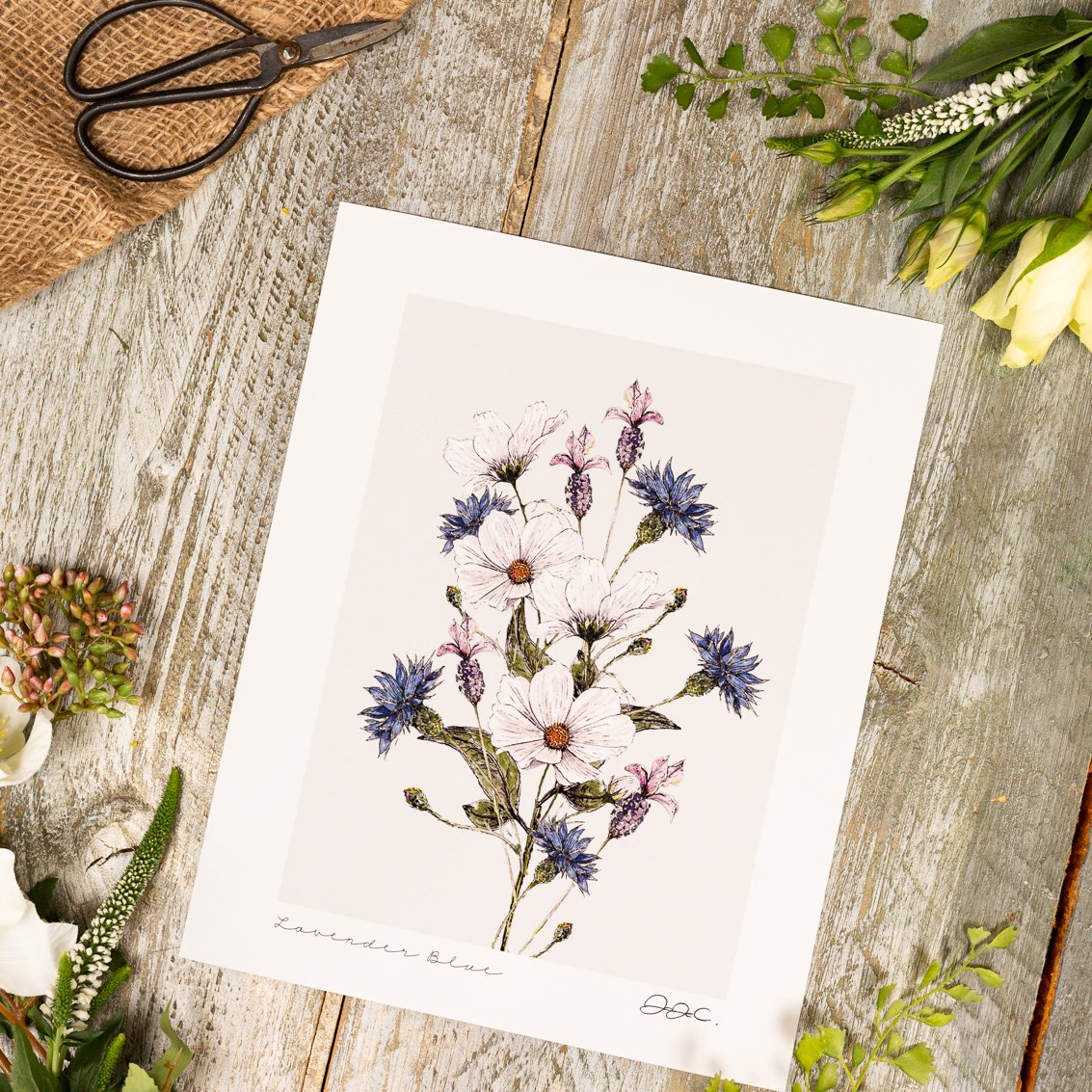 Lavender Blue 10x12" Fine Art Print