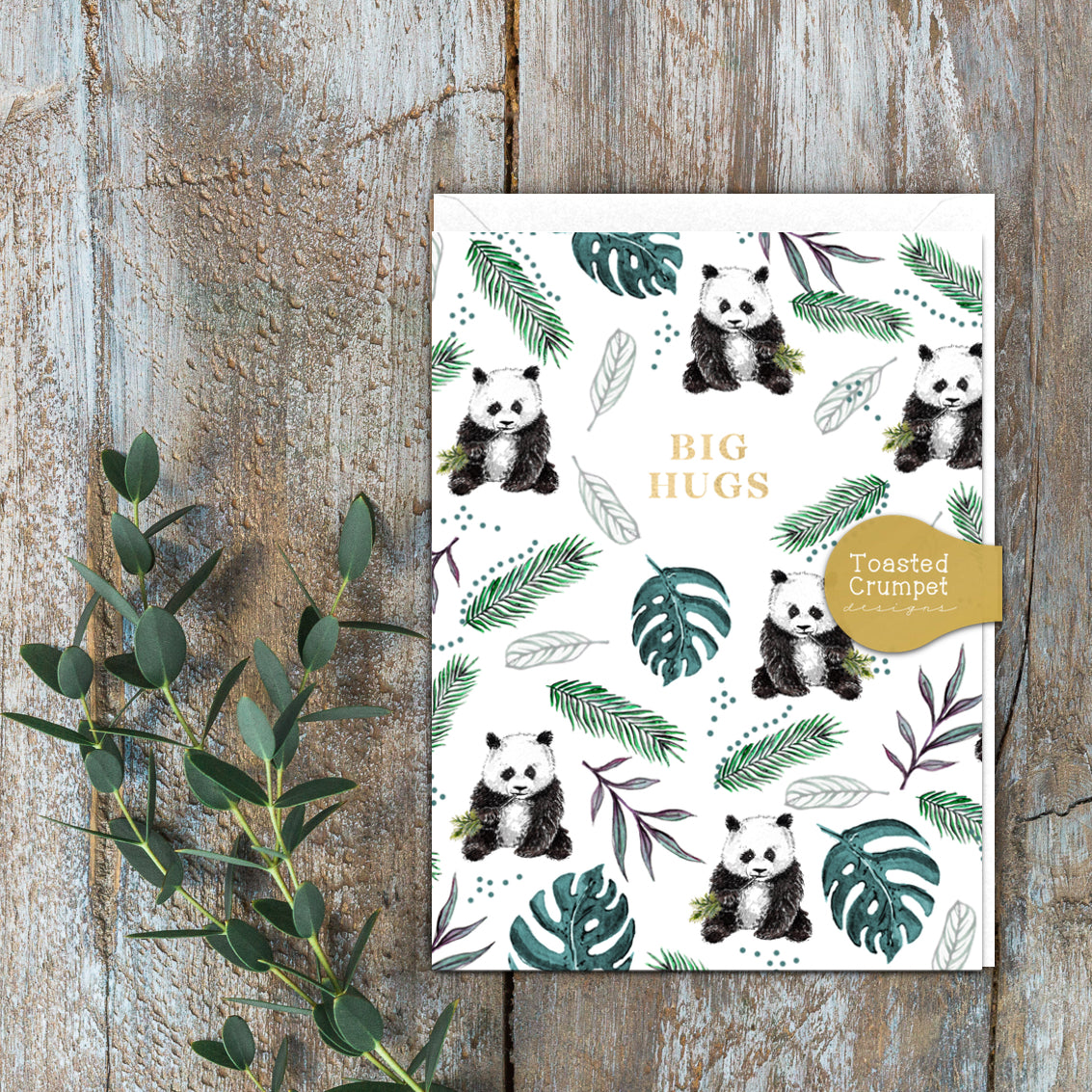 Big Hugs (Panda) Set of 6 Cards