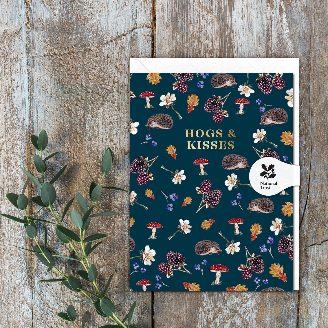 Hogs & Kisses (Hedgehogs Noir) Card (Cello-Free)
