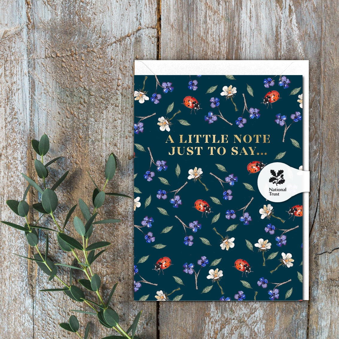 A Little Note Just to Say (Ladybirds Noir) Card (Cello-Free)