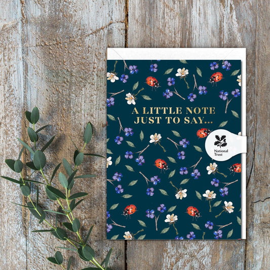 A Little Note Just to Say (Ladybirds Noir) Card (Cello-Free)