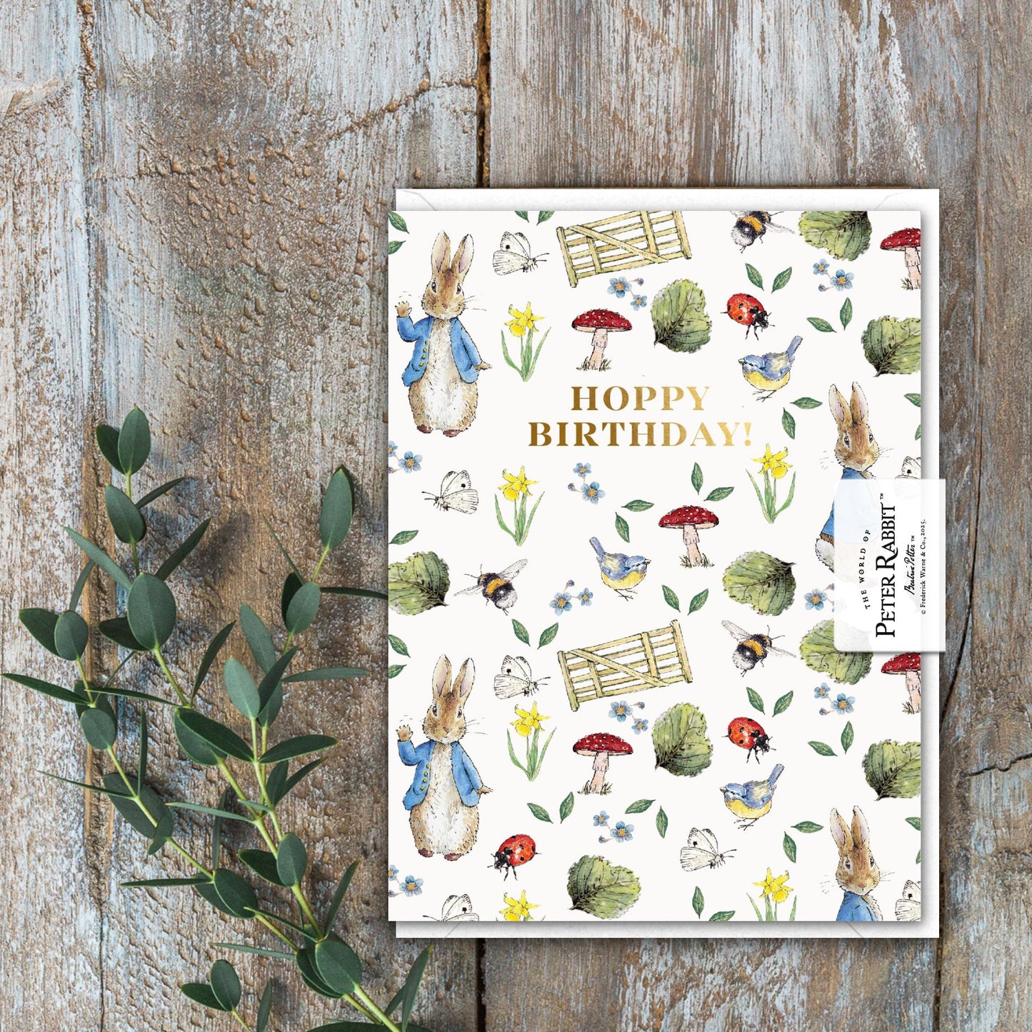 Hoppy Birthday (Peter Rabbit) Card (Cello-Free)