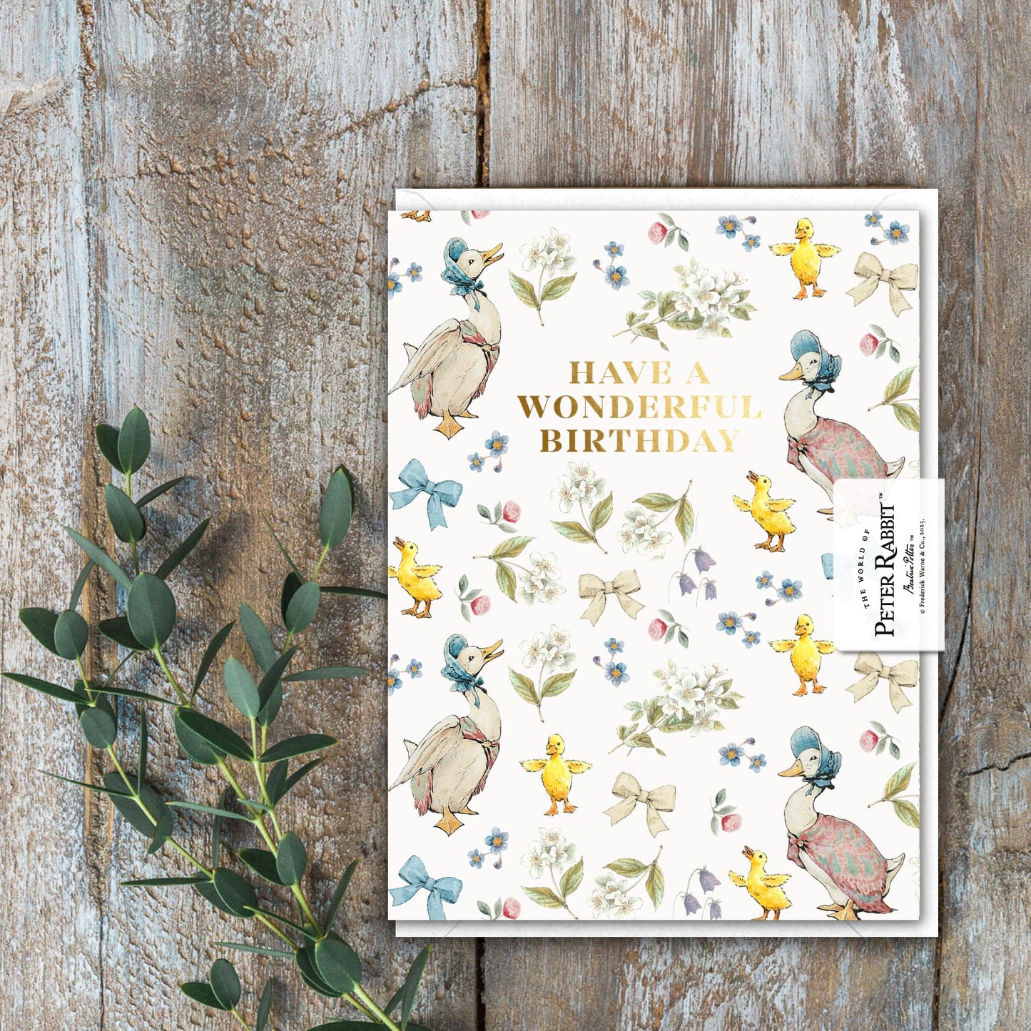 Have A Wonderful Birthday (Jemima Puddle-Duck) Card (Cello-Free)