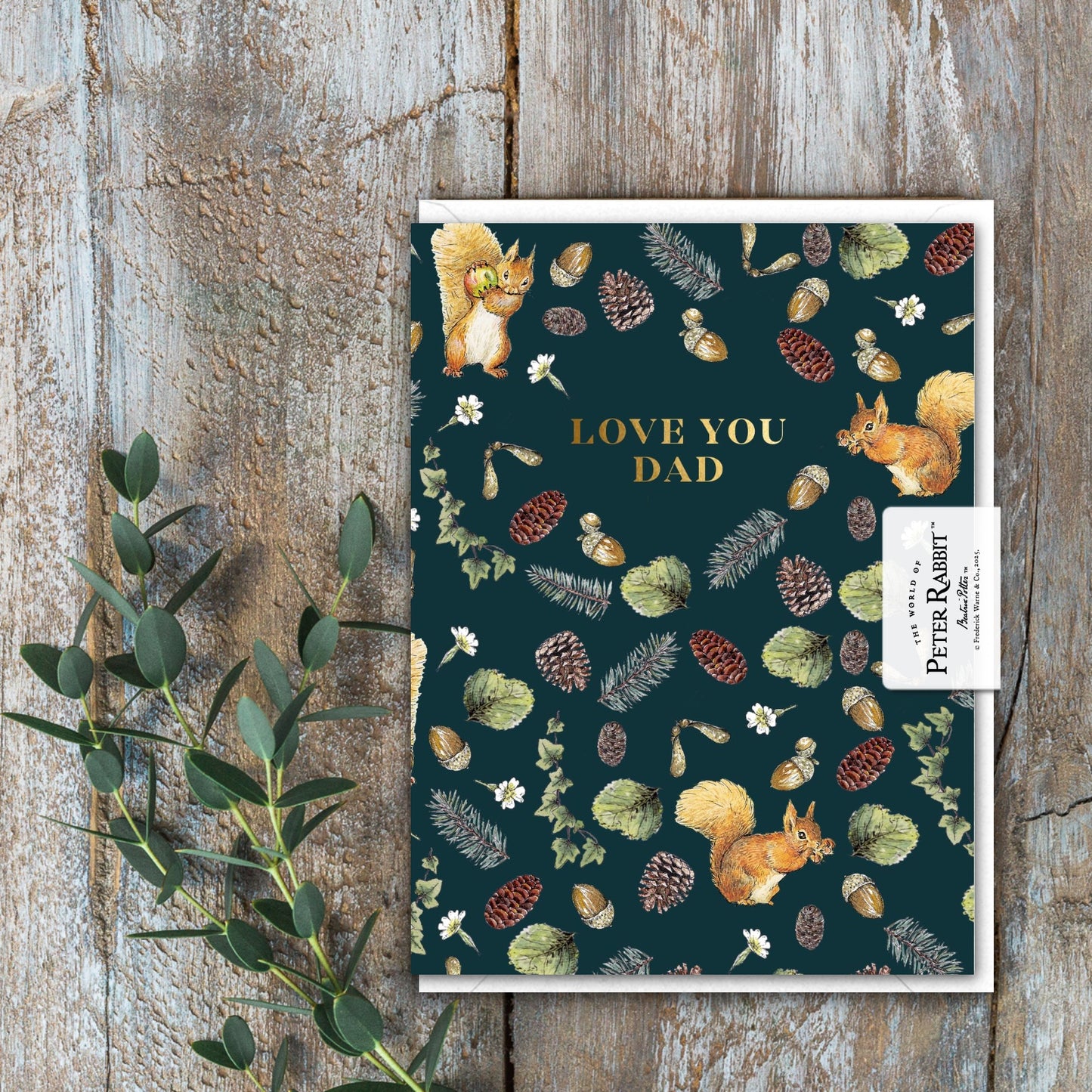 Love You Dad (Squirrel Nutkin) Card (Cello-Free)