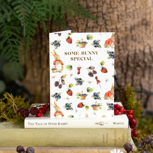 Some-Bunny Special (Flopsy) Card (Cello-Free)