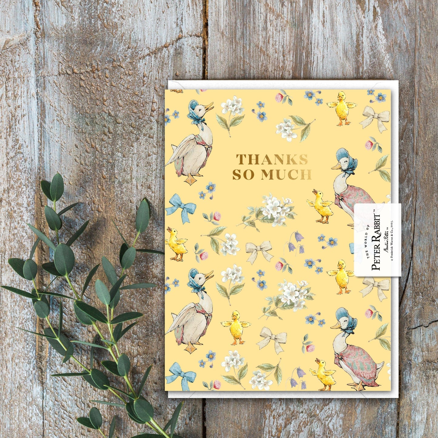 Thanks So Much (Jemima Puddle-Duck) Card (Cello-Free)