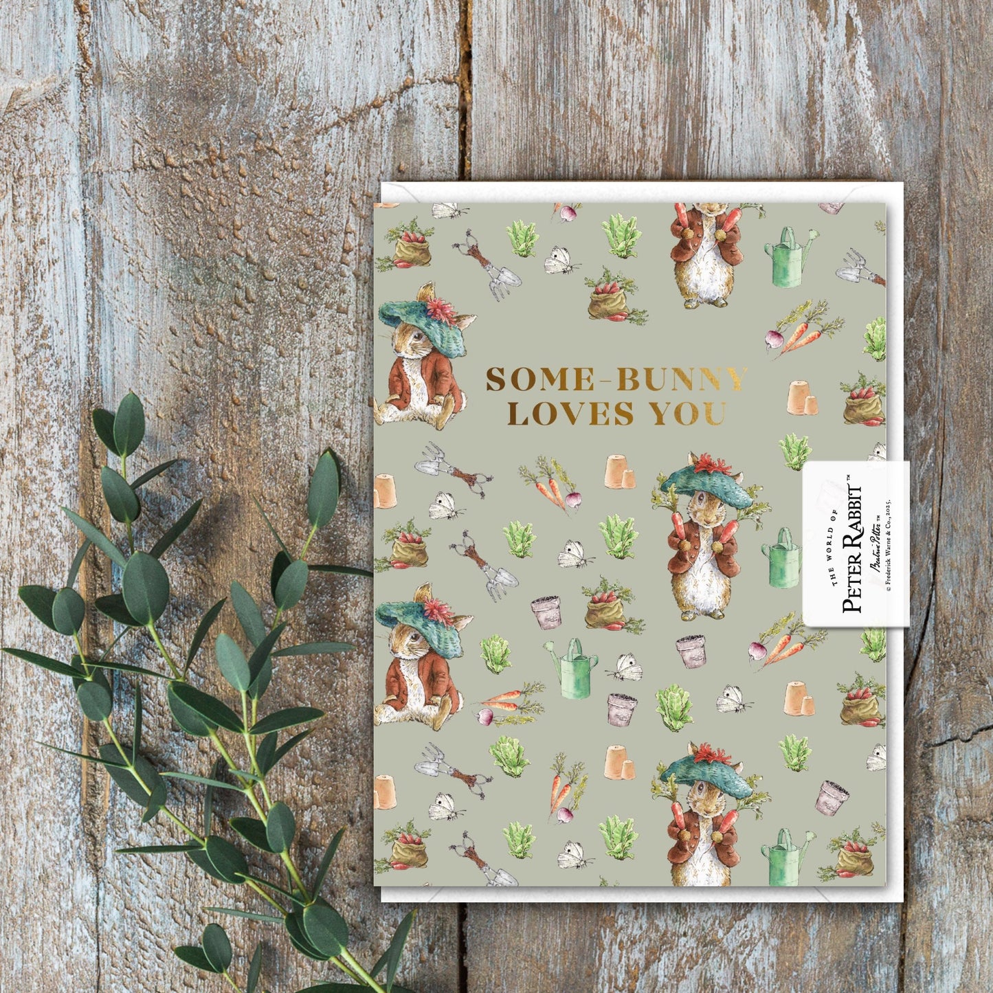 Some-Bunny Loves You (Benjamin Bunny) Card (Cello-Free)
