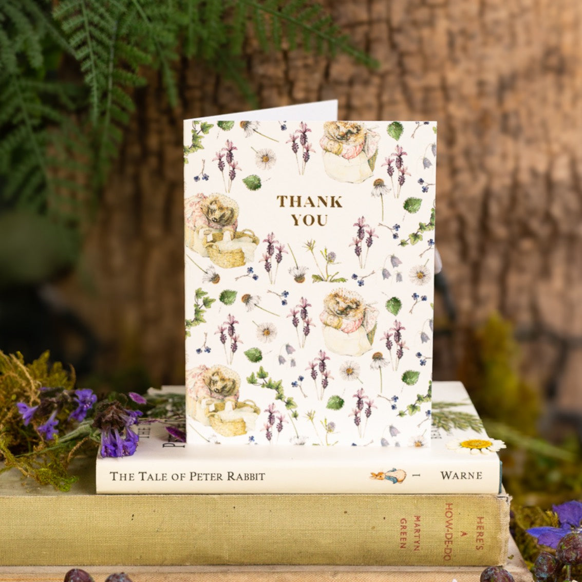 Thank You (Mrs. Tiggy-Winkle) Card (Cello-Free)