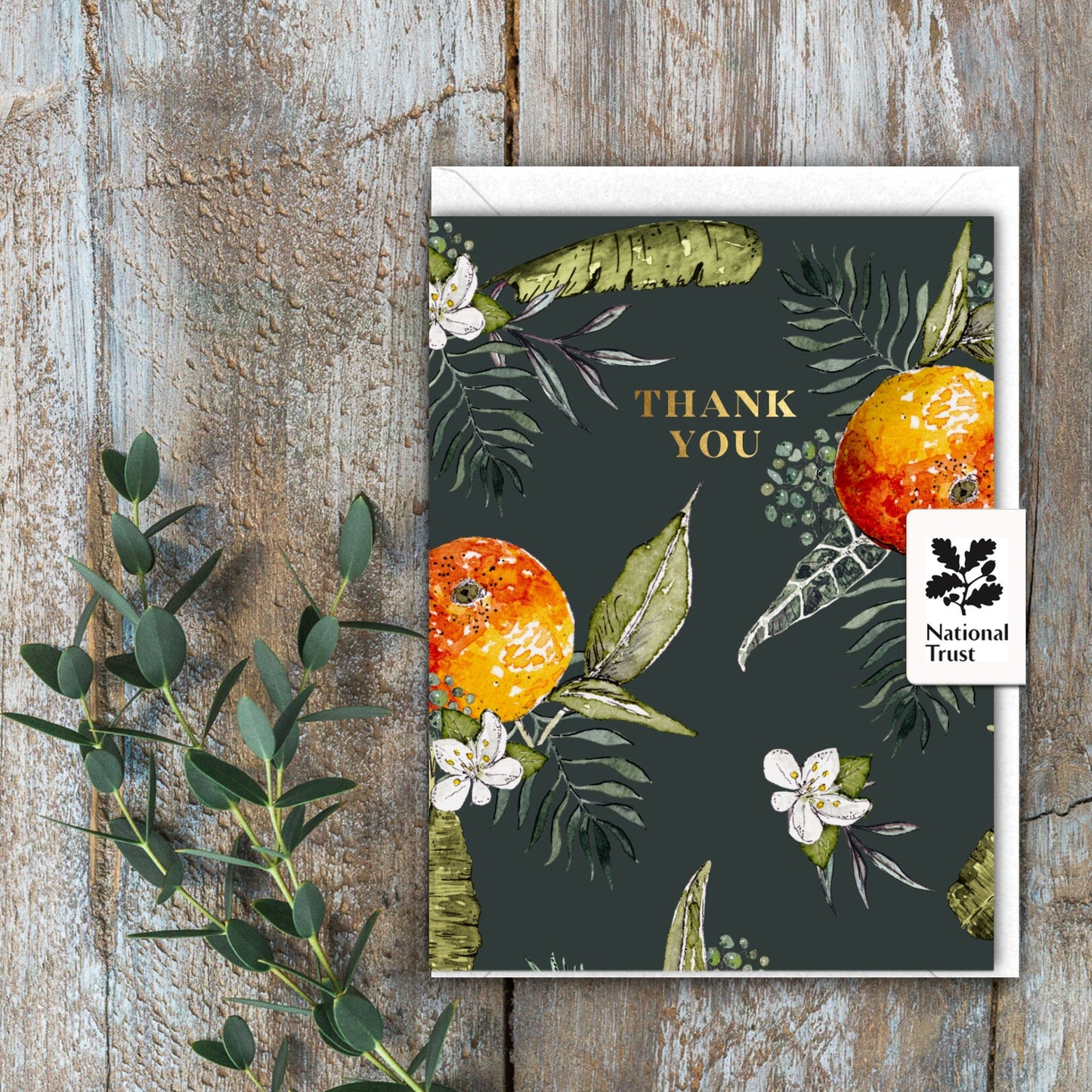 NEW! Thank You (Oranges Noir) Card (Cello-Free) (available for dispatch from Jan 2026)