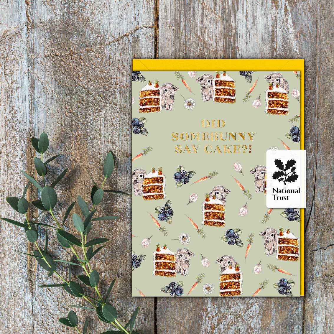 Did Somebunny Say Cake?! Set of 6 Cards