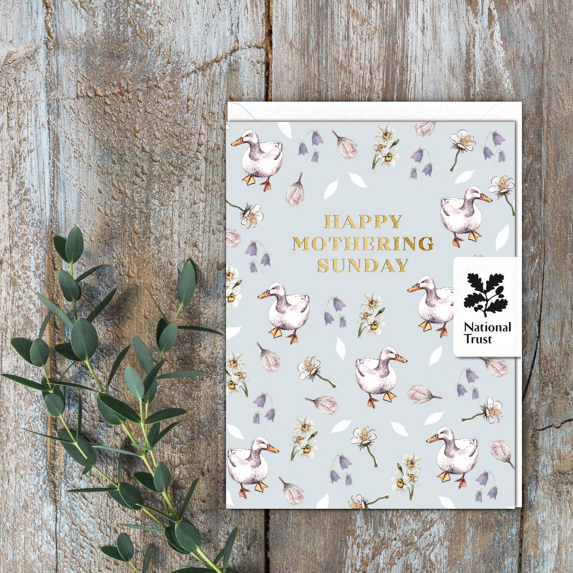 Happy Mothering Sunday (Ducks) Card (Cello-Free)