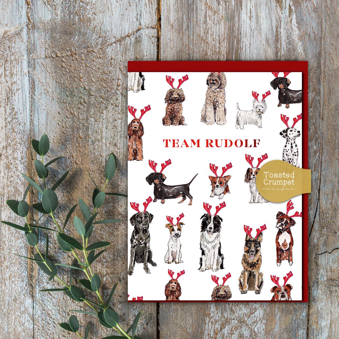 Team Rudolf (Dogs Pure) Card (Cello-Free)