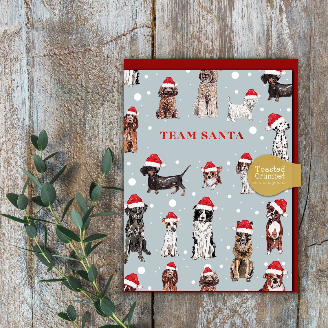 Team Santa (Dogs Blue) Card (Cello-Free)