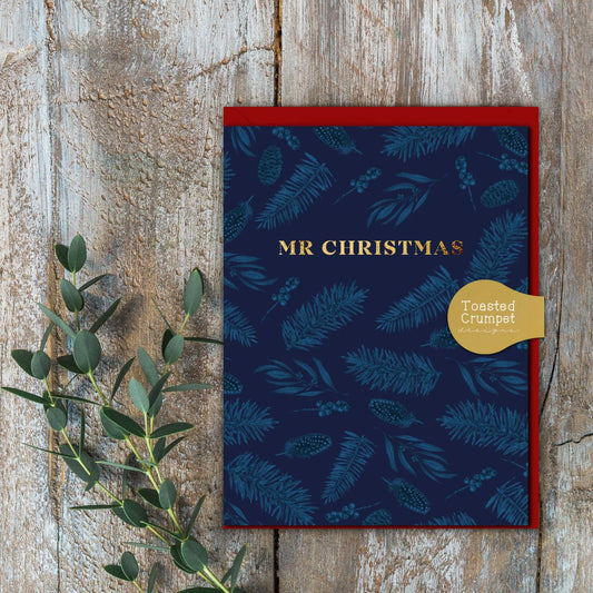 Mr Christmas Card (Cello-Free)