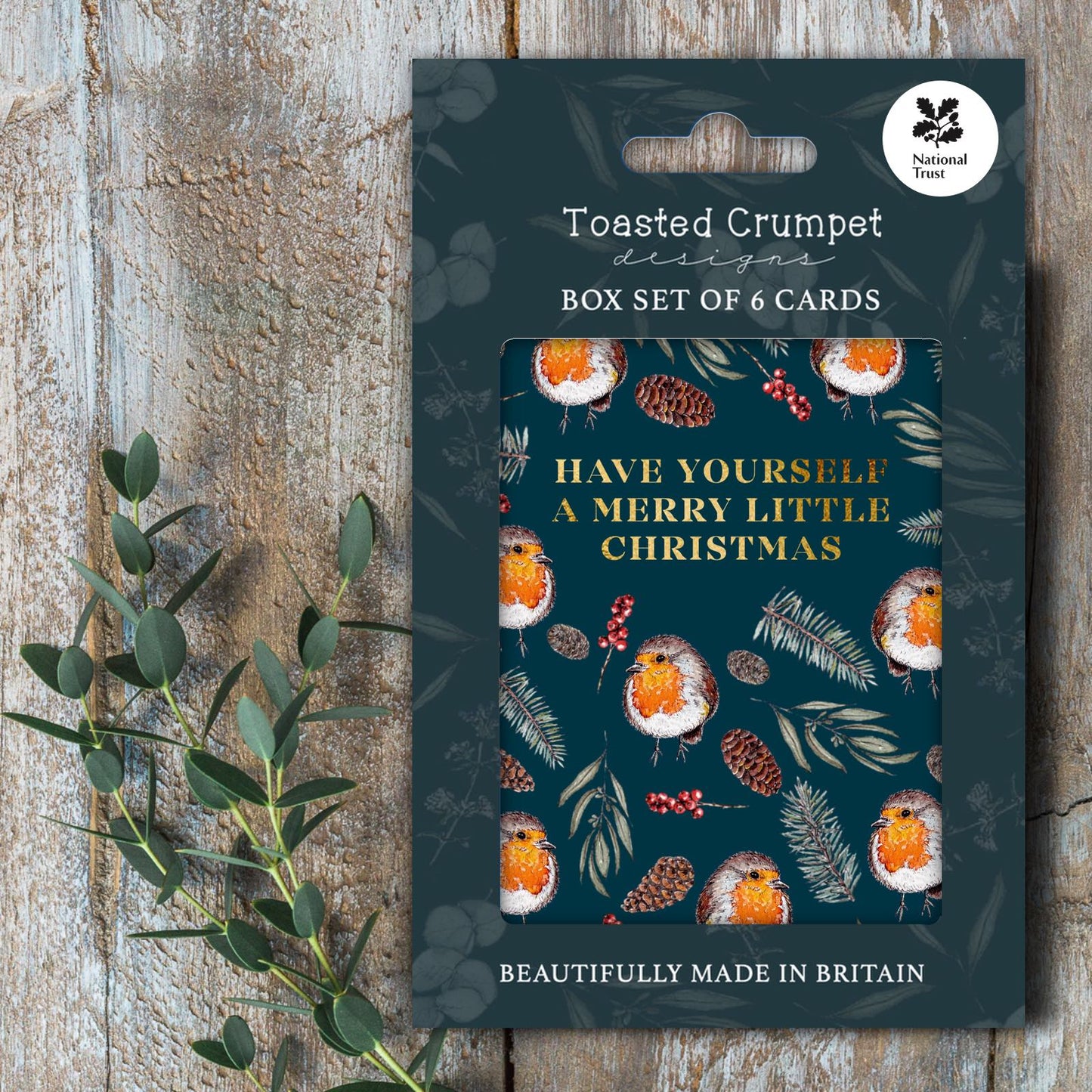 Merry Little Christmas (Winter Robin) Set of 6 Christmas Cards