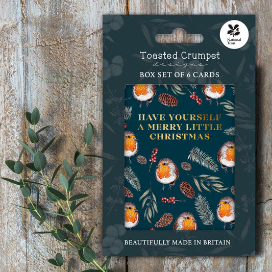 Merry Little Christmas (Winter Robin) Set of 6 Christmas Cards
