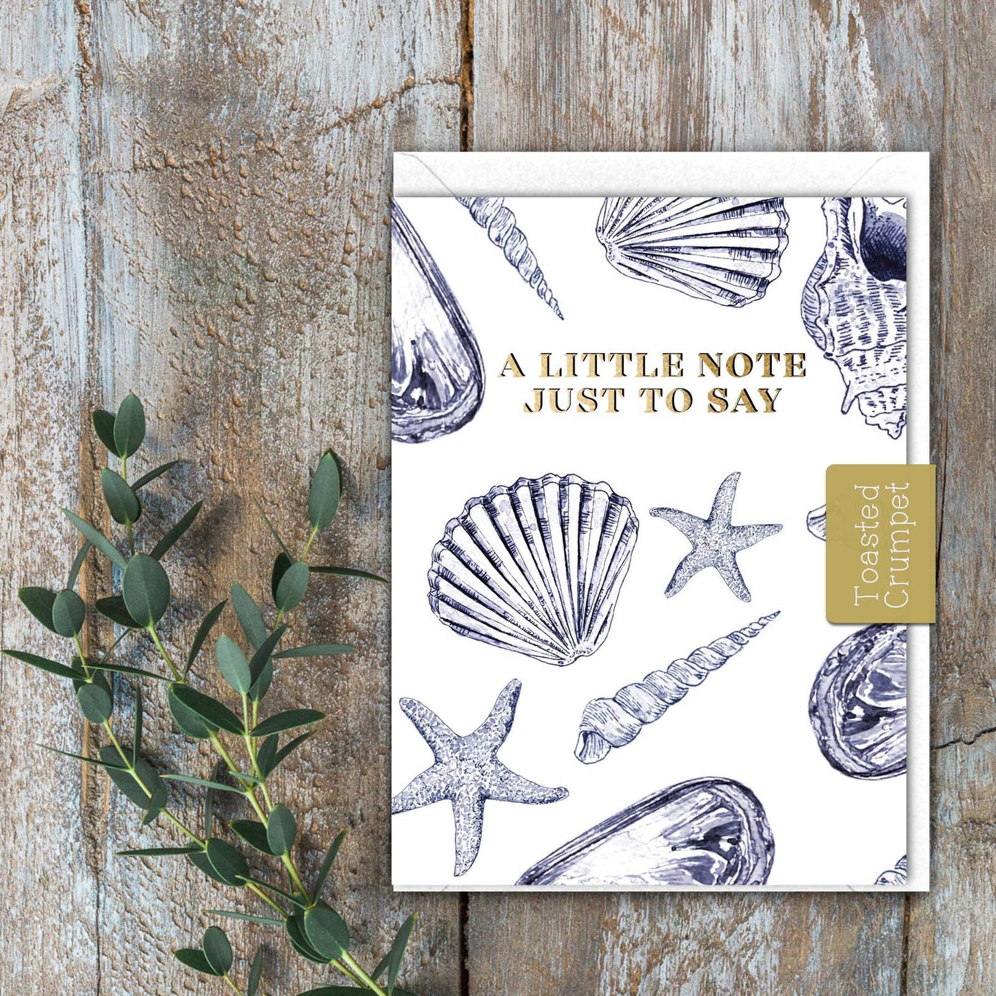 A Little Note Just to Say (Coastal Pure) Card (Cello-Free)